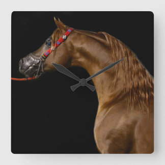 Chestnut Arabian Show Horse Clock Quadratische Wanduhr