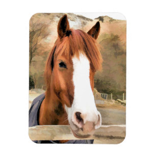 CHESTNUT HORSE MAGNET