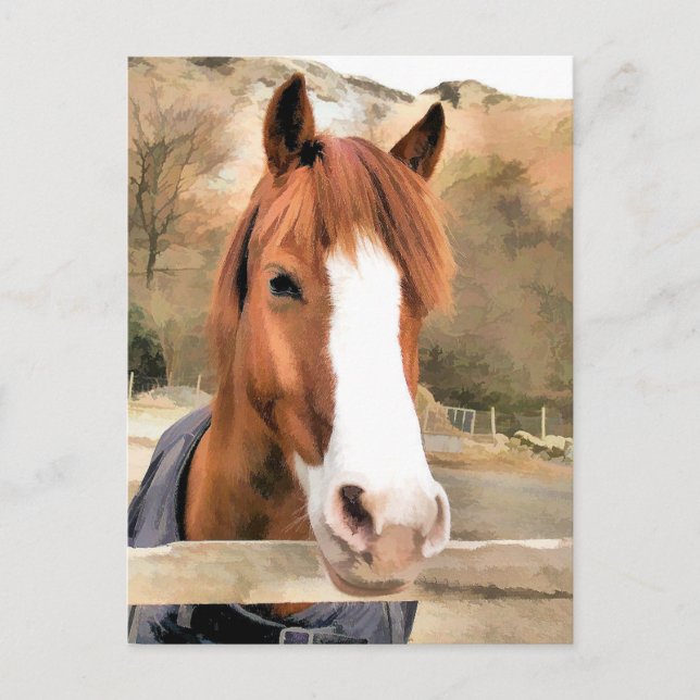 CHESTNUT HORSE POSTKARTE (Vorderseite)