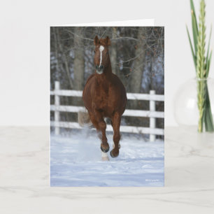 Chestnut Trakehner Stallion In The Snow Karte