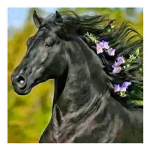 Cheval noir crinière fleurie, Papier poster (matt)