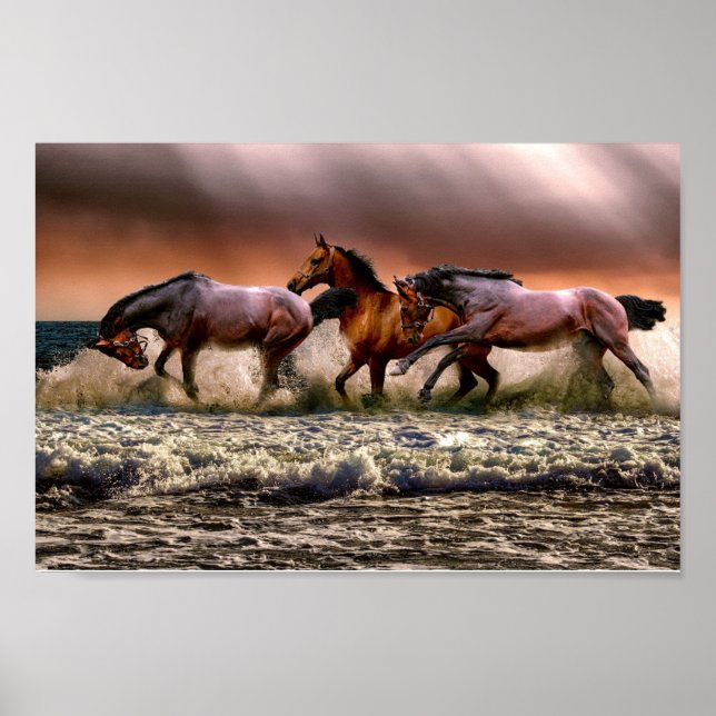 Chevaux Poster (Vorne)