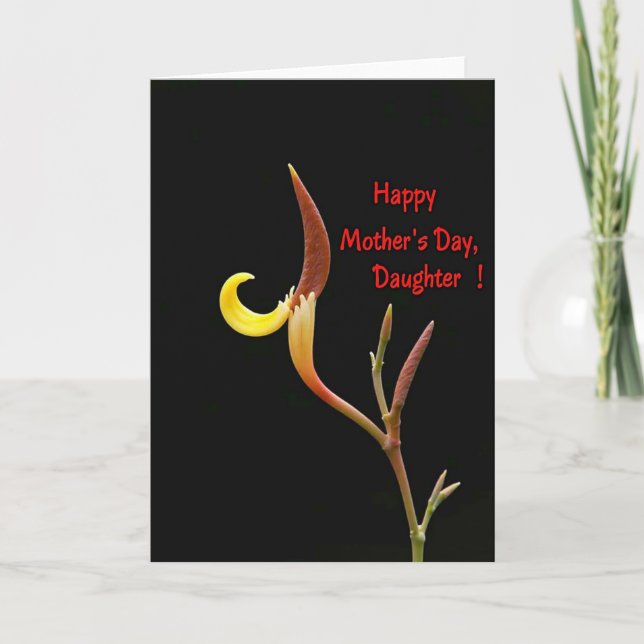 Chevron Botanische Mütter Karte (Vorderseite)