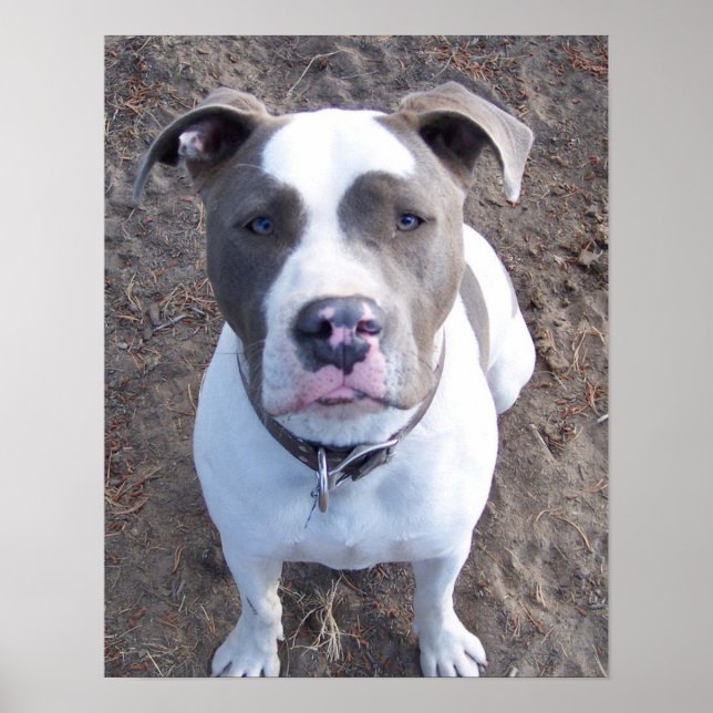 Chevy Poster (Vorne)