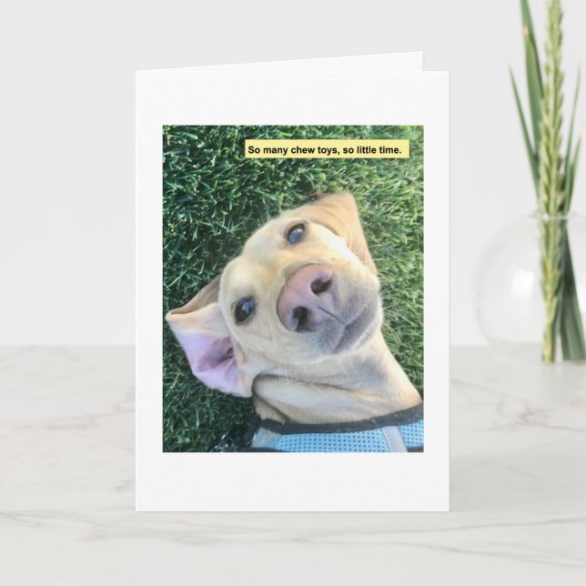 Chew Toys MillieGram Karte (Vorderseite)