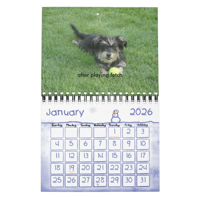 Chewie: Ein Jahr in den Bildern Kalender (Jan 2026)