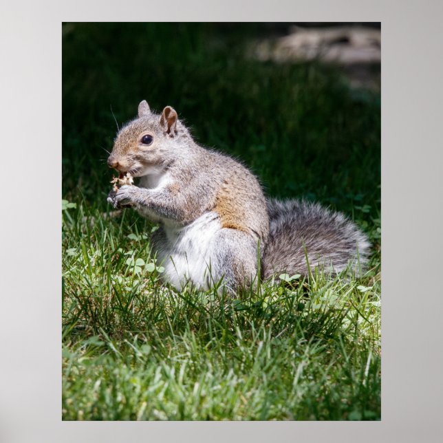 Chewing on it poster (Vorne)