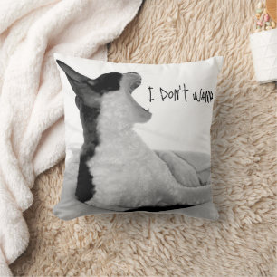 Chewy sez... Ich will nicht. Kissen