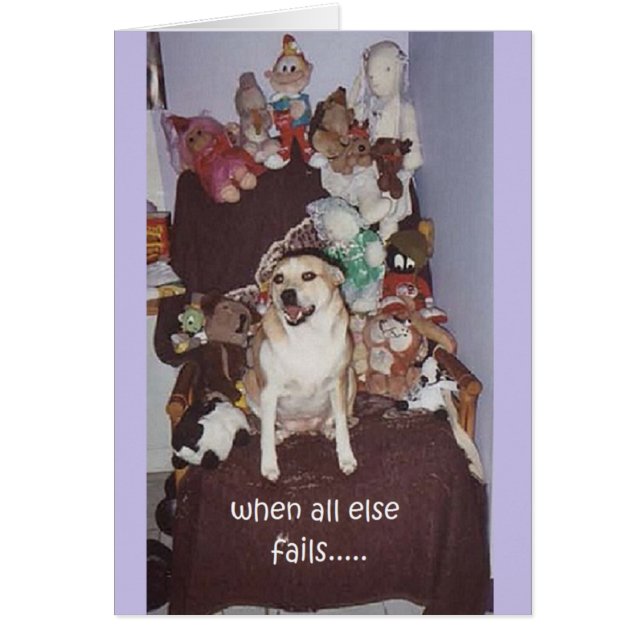 Cheyanne by Peace Wildnis (Vorne)