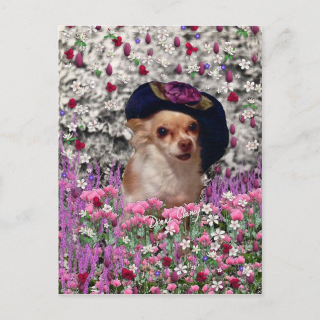 Chi Chi in Blume Postcard - Chihuahua Postkarte (Vorderseite)