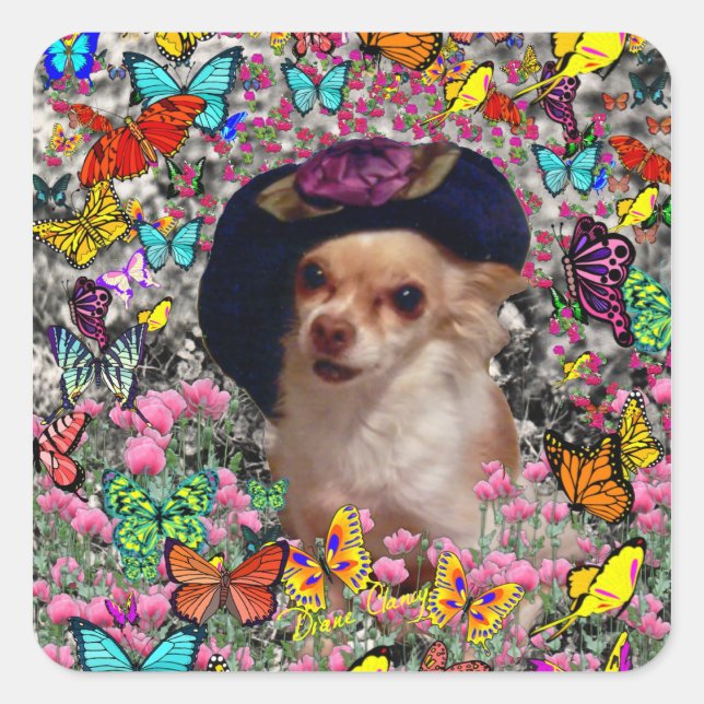 Chi Chi in Butterflies - Chihuahua-Welpe in Hat Quadratischer Aufkleber (Vorderseite)