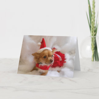 Chi Weihnachtskarte Feiertagskarte