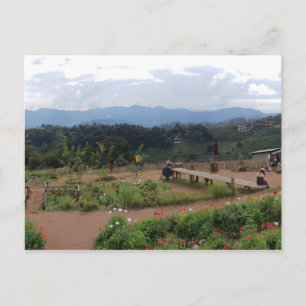 Chiang Mai Thailand Postkarte
