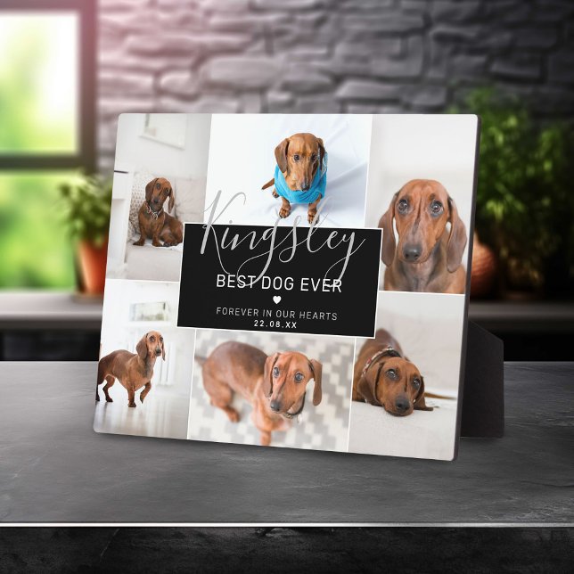 Chic Best Dog Ever | Foto Collage Pet Loss Fotoplatte (Von Creator hochgeladen)