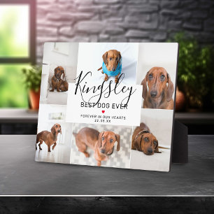 Chic Best Dog Ever   Foto Collage Pet Loss Fotoplatte