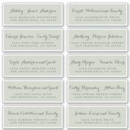 Chic Calligraphy Wedding Guest Address Labels