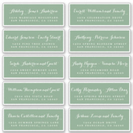 Chic Calligraphy Wedding Guest Address Labels