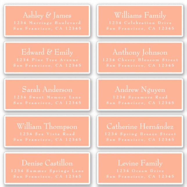 Chic Cantaloupe Orange Guest Address Labels (Vorderseite)