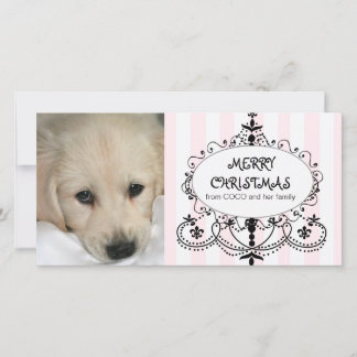 Chic Chandelier Dog Christmas Photo Card Feiertagskarte