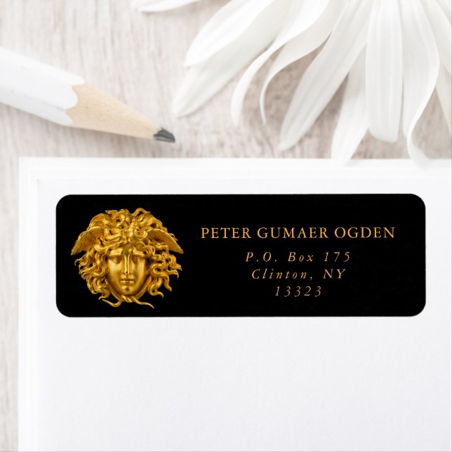 Chic French Fine Art Haute Couture Medusa Mask (Insitu)