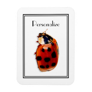 Chic Gepunktet Ladybug mit Namen Magnet