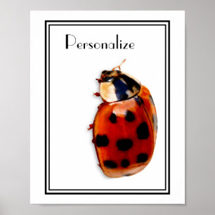 Chic Gepunktet Ladybug mit Namen Poster