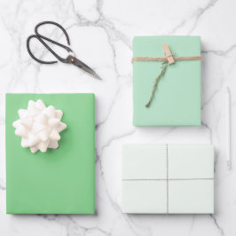 Chic Modern Light Green Simple Solid Shades Geschenkpapier Set