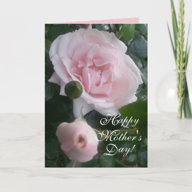 CHIC MUTTER'S DAY CARD_ NEUE DAWN ROSE KARTE (Vorderseite)