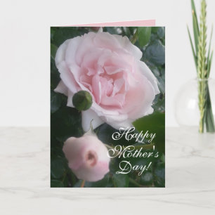 CHIC MUTTER'S DAY CARD_ NEUE DAWN ROSE KARTE