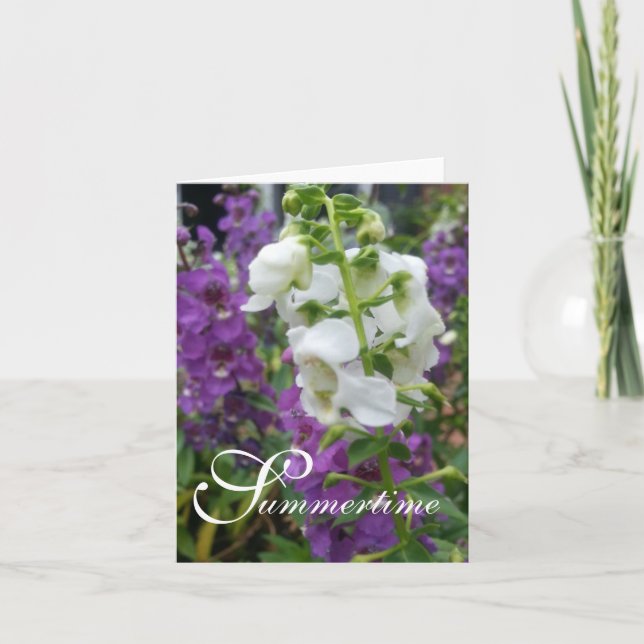 CHIC NOTE CARD_"Summertime" ANGELONIA Karte (Vorderseite)