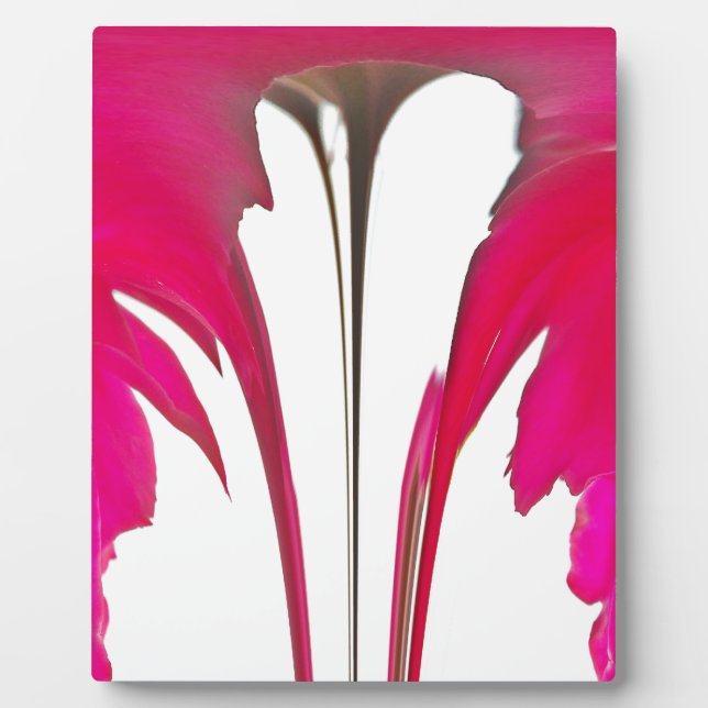 Chic phantastische Rote Rose unter dem weißen Himm Fotoplatte (Vorderseite)