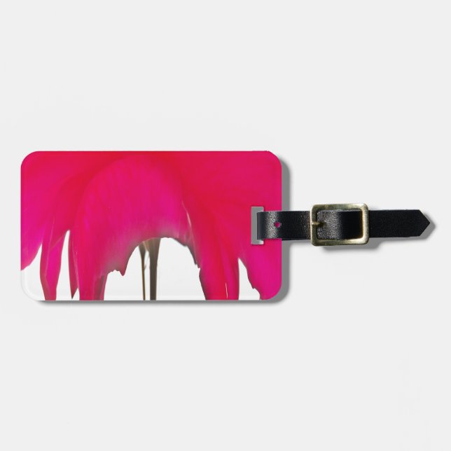 Chic phantastische Rote Rose unter dem weißen Himm Gepäckanhänger (Vorderseite horizontal)