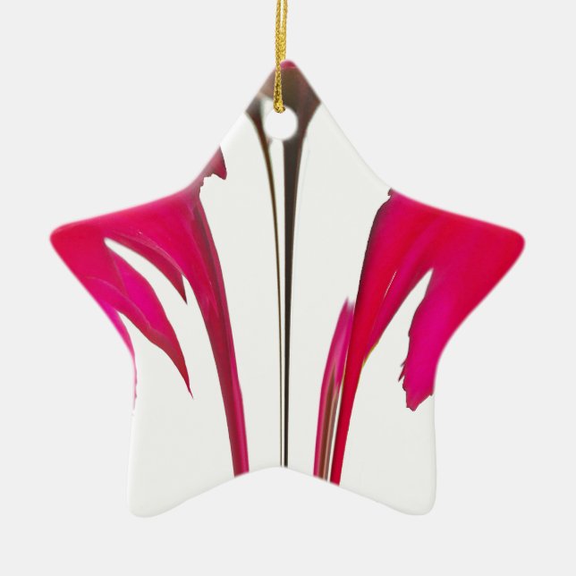 Chic phantastische Rote Rose unter dem weißen Himm Keramik Ornament (Vorne)