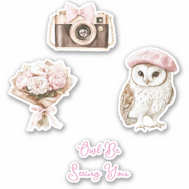 Chic Pink Beret Brown White Owl Be Seeing You Aufkleber (Vorderseite)