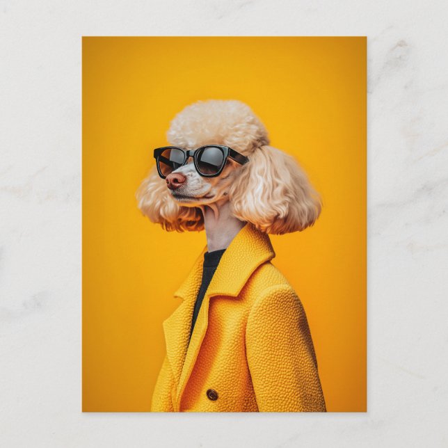 Chic Poodle in Sonnenbrille und Gelbmatte Postkarte (Vorderseite)