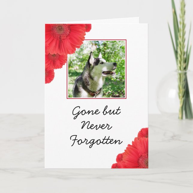 Chic Red Blume Pet Foto Beileid Karte (Vorderseite)