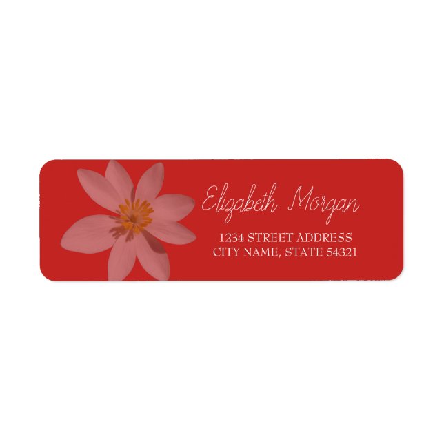 Chic Romantic White Daisy Address Label (Vorne)