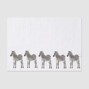 Chic Schwarz-weiß Zebras Seidenpapier