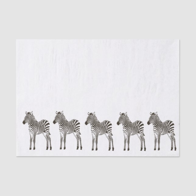 Chic Schwarz-weiß Zebras Seidenpapier (Vorderseite)