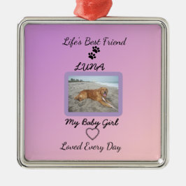 Chic Seasonal Companion Keepsake Ornament Aus Metall