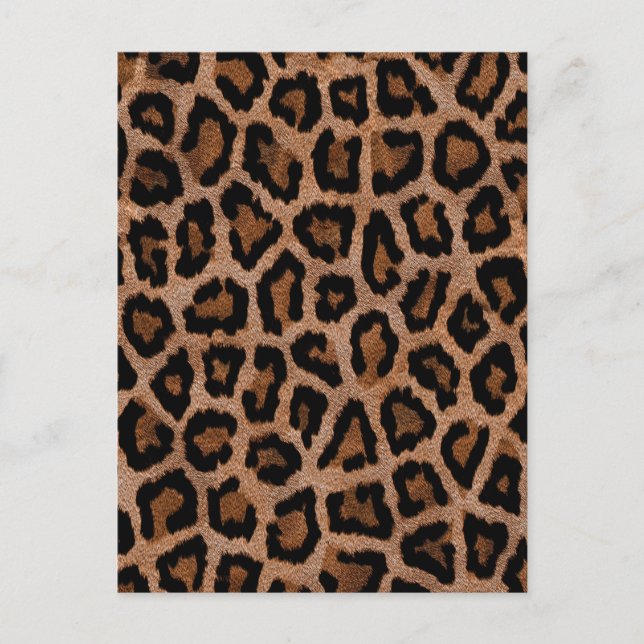Chic Trendy Leopard Pattern Postkarte (Vorderseite)
