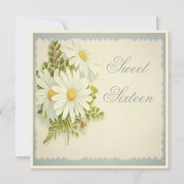 Chic Vintag Daisies Sweet 16 Einladung (Vorderseite)