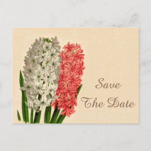 Chic Vintag Hyacinths 50. Geburtstag Save the Date Ankündigungspostkarte