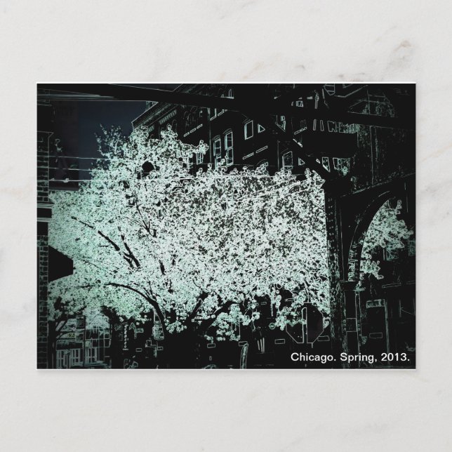 Chicago Blossoms Abstrakt Postkarte (Vorderseite)