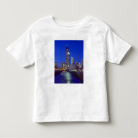 Chicago, Illinois, Skyline nachts mit Chicago