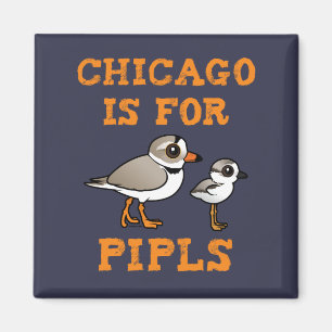 Chicago ist für PIPLs Magnet