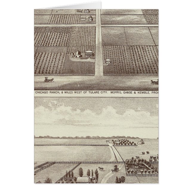 Chicago, Kay Ranches (Vorne)
