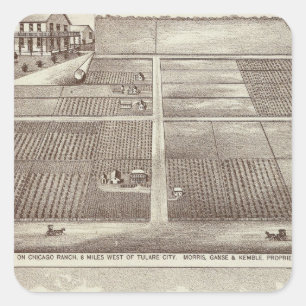 Chicago, Kay-Ranchs Quadratischer Aufkleber