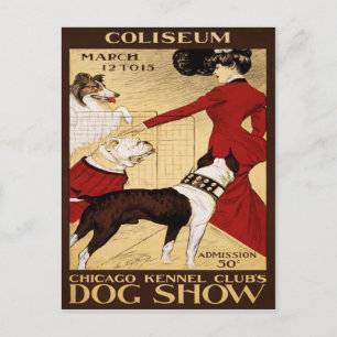 Chicago Kennel Club's Dog Show 1902 Postkarte