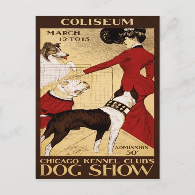Chicago Kennel Club's Dog Show 1902 Postkarte (Vorderseite)
